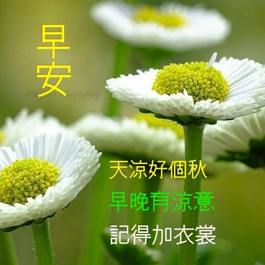 按我可連結至更清楚的圖片